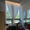[아우름필라테스] 상현역 광교필라테스 초록초록한 창문뷰 보며 힐링 운동하고 온 솔직 후기!