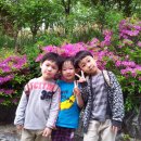 정심 어린이집 이미지