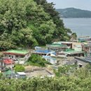 초곡1리 이미지