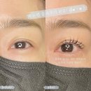 활짝핀 속눈썹 이미지