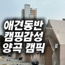 비비큐김포양곡 | 애견동반 가능한 양곡캠픽 후기｜캠핑 감성 고깃집 100% 내돈내산