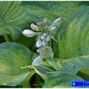 리치랜드 이미지