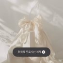 W.19 모바일 청첩장 살롱드레터 Salon de Letter 제작 후기