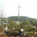 태미농장 이미지