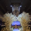 투어비스타 | 웨딩홀 투어&amp;계약-광주 글로리아 웨딩홀 비스타홀 계약 후기