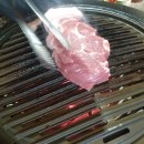 한라흑돼지 이미지