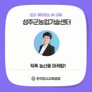 농업기술센터 | 성주군농업기술센터 틱톡 농산물 마케팅 교육 후기｜농민도 틱톡으로 수익 만든다