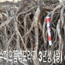 정성슈퍼 - 정읍시 산외로 433 | 정성슈퍼