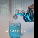 초파리 날파리 퇴치법 이미지