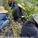 동작이수사회복지관 이미지