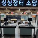 싱싱장터 이미지