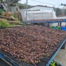 해용농장 이미지