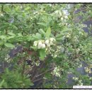 세윤농장 이미지