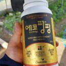 약농농장 네이버블로그