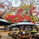 만남의광장 | 속초)설악산 케이블카 식당 &#34;비선대 만남의광장&#34; 내돈내산 후기