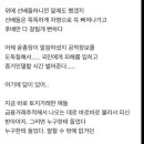 LH 수사 방향에대한 어느 수사관의 일침. 이미지