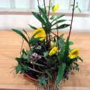 보테니컬 이미지