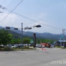 실내체육관 앞 횡단보도 이미지