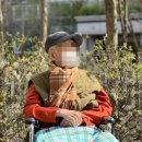 힐링&면역력케어센터 이미지