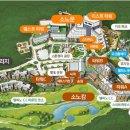 델피노 사우나 이미지