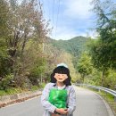 갑천로 | 횡성 1박 2일 여행 1탄 | 따뜻한 인심 속 우당탕탕 여행기 / 둥이네정원 / 곰마루힐링하우스