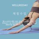 웰니스포유(WELLNESS4U)