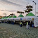 국제신문 | (부산) 제26회 국제신문 부산마라톤 대회 후기