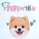 엑스포로123번길(유성-108) 이미지
