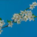 예인요양센터 이미지