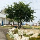 두리노래방 이미지