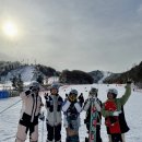 평창 휘닉스파크 이미지