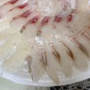 청해식당횟집 | 내돈내산 울산 농수산물시장 청해수산횟집, 모듬회 특대와 멍게 배달시켜 먹었어요.