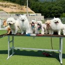 멍스빌리지풀빌라5 이미지