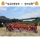 정언농장 이미지