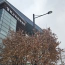 철원탁구장 | [빅토리짐/영북교육문화센터] 영북면 운천헬스장 일일권이용 후기