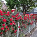 서일카센타 이미지