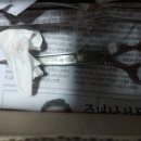 민 동물병원(동물미용) 이미지