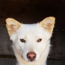 바람도리 이미지