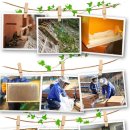 복용농장 이미지