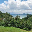 약산흑염소 이미지