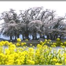 창선고등학교 이미지