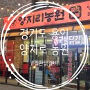 양지리 | 용인 철판닭갈비, 용인 닭갈비, 용인 양지 닭갈비 , 양지리농원