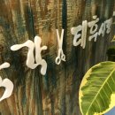 감각앤태후사랑 네이버블로그