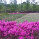 의인농장 이미지