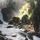 계곡의아침 이미지