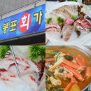 봉포활어회센터 | 고성 횟집 맛집 봉포 회가 모듬회 신선하고 제대로인 곳