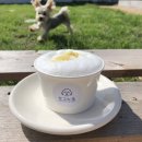 도그노크 이미지