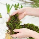 봄앤봄 플라워 카페 이미지