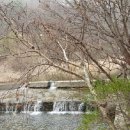 천사봉 오토 캠핑장 이미지