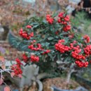 푸르뫼농장 이미지